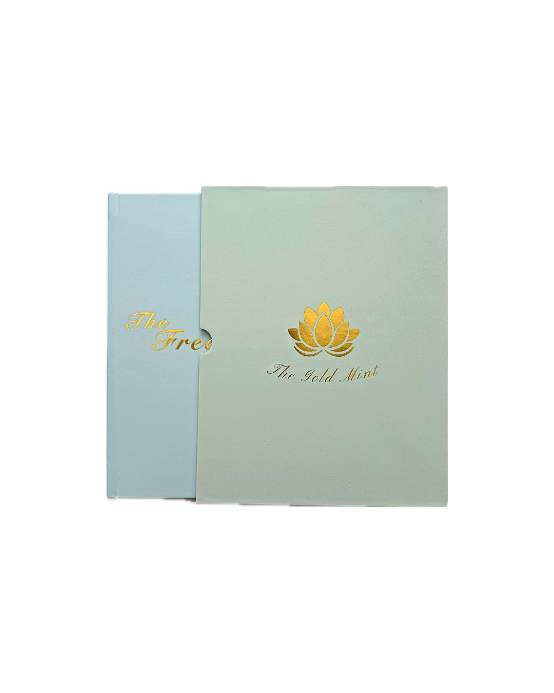 (PRE-ORDER) The Freestyle Gold Mine